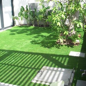 Plastic Turf