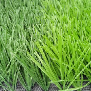 Sport Grass Teppe