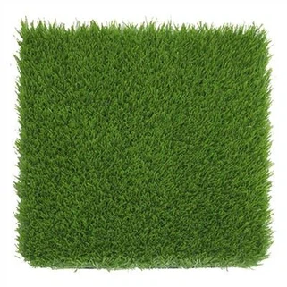 Lawn Turf